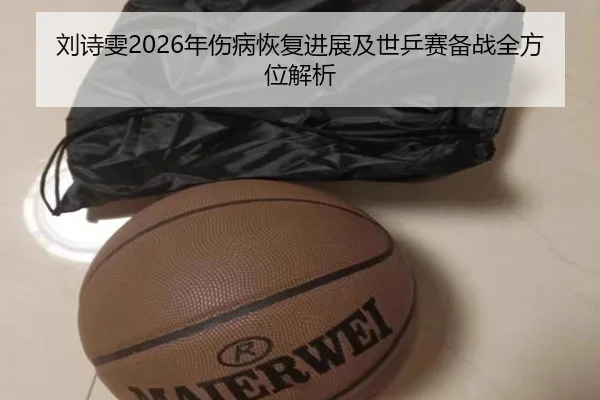 刘诗雯2026年伤病恢复进展及世乒赛备战全方位解析（NANGONG）